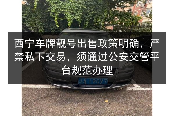 西宁车牌靓号出售政策明确，严禁私下交易，须通过公安交管平台规范办理 第2张