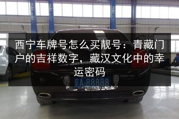 西宁车牌号怎么买靓号：青藏门户的吉祥数字，藏汉文化中的幸运密码 第3张