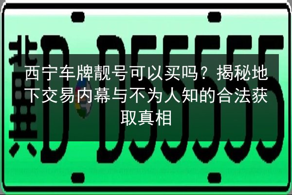 西宁车牌靓号可以买吗?揭秘地下交易内幕与不为人知的合法获取真相 第2张 西宁车牌靓号可以买吗?揭秘地下交易内幕与不为人知的合法获取真相 第2张