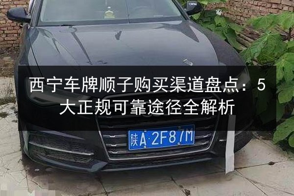西宁车牌顺子购买渠道盘点：5大正规可靠途径全解析 第2张
