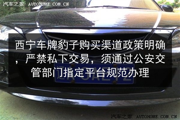 西宁车牌豹子购买渠道政策明确,严禁私下交易,须通过公安交管部门指定平台规范办理 第3张 西宁车牌豹子购买渠道政策明确,严禁私下交易,须通过公安交管部门指定平台规范办理 第3张