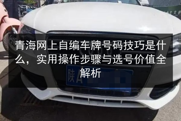 青海网上自编车牌号码技巧是什么，实用操作步骤与选号价值全解析