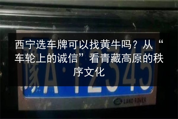 西宁选车牌可以找黄牛吗?从“车轮上的诚信”看青藏高原的秩序文化 第2张 西宁选车牌可以找黄牛吗?从“车轮上的诚信”看青藏高原的秩序文化 第2张