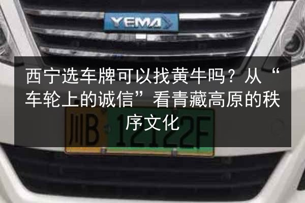 西宁选车牌可以找黄牛吗?从“车轮上的诚信”看青藏高原的秩序文化 第3张 西宁选车牌可以找黄牛吗?从“车轮上的诚信”看青藏高原的秩序文化 第3张