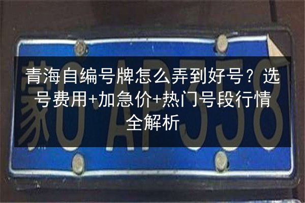 青海自编号牌怎么弄到好号？选号费用+加急价+热门号段行情全解析 第2张