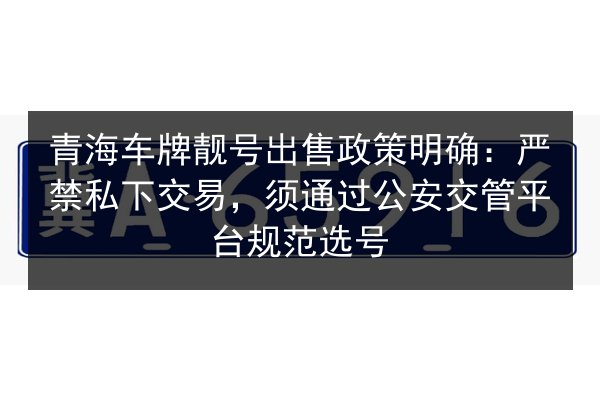 青海车牌靓号出售政策明确:严禁私下交易,须通过公安交管平台规范选号 第3张 青海车牌靓号出售政策明确:严禁私下交易,须通过公安交管平台规范选号 第3张