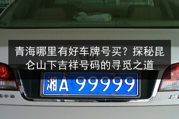 青海哪里有好车牌号买?探秘昆仑山下吉祥号码的寻觅之道 第1张 青海哪里有好车牌号买?探秘昆仑山下吉祥号码的寻觅之道 第1张