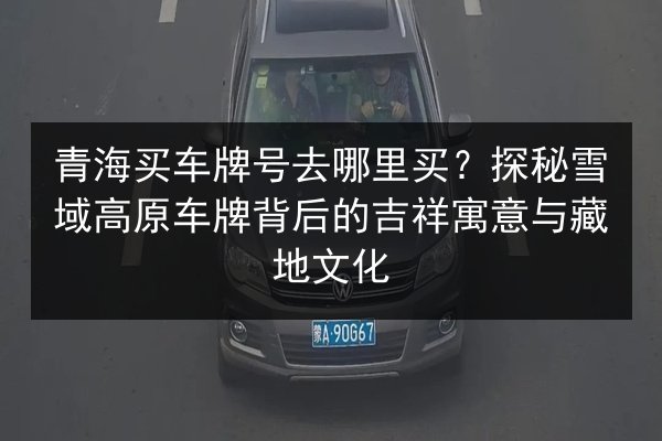 青海买车牌号去哪里买?探秘雪域高原车牌背后的吉祥寓意与藏地文化 第2张 青海买车牌号去哪里买?探秘雪域高原车牌背后的吉祥寓意与藏地文化 第2张