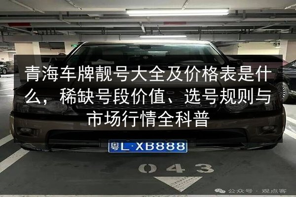 青海车牌靓号大全及价格表是什么,稀缺号段价值、选号规则与市场行情全科普 第3张 青海车牌靓号大全及价格表是什么,稀缺号段价值、选号规则与市场行情全科普 第3张