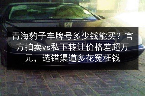 青海豹子车牌号多少钱能买？官方拍卖vs私下转让价格差超万元，选错渠道多花冤枉钱