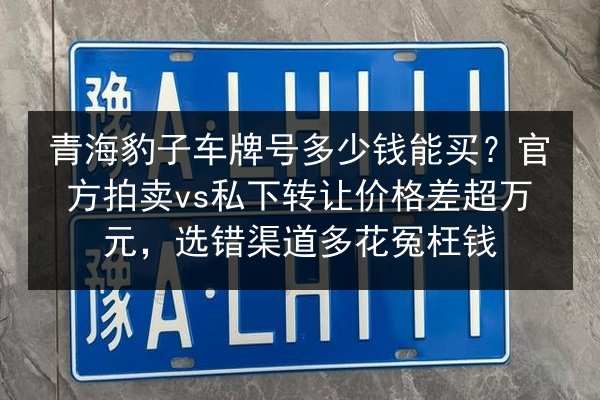 青海豹子车牌号多少钱能买？官方拍卖vs私下转让价格差超万元，选错渠道多花冤枉钱 第2张