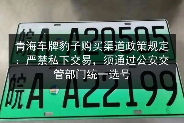 青海车牌豹子购买渠道政策规定：严禁私下交易，须通过公安交管部门统一选号 第2张