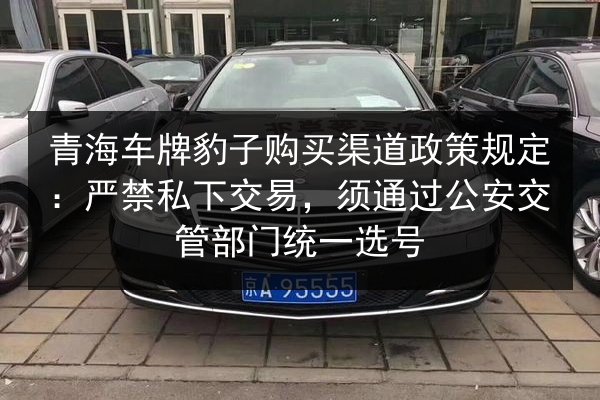 青海车牌豹子购买渠道政策规定：严禁私下交易，须通过公安交管部门统一选号 第3张