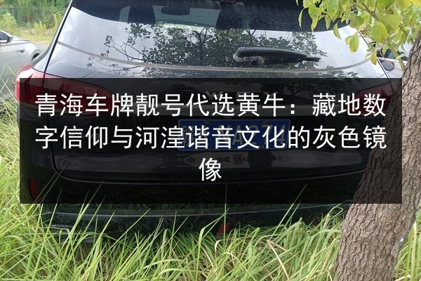 青海车牌靓号代选黄牛:藏地数字信仰与河湟谐音文化的灰色镜像 第2张 青海车牌靓号代选黄牛:藏地数字信仰与河湟谐音文化的灰色镜像 第2张