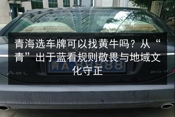 青海选车牌可以找黄牛吗?从“青”出于蓝看规则敬畏与地域文化守正 第3张 青海选车牌可以找黄牛吗?从“青”出于蓝看规则敬畏与地域文化守正 第3张
