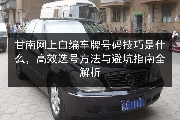 甘南网上自编车牌号码技巧是什么，高效选号方法与避坑指南全解析 第2张