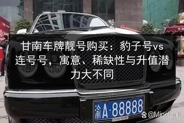 甘南车牌靓号购买:豹子号vs连号号,寓意、稀缺性与升值潜力大不同 第2张 甘南车牌靓号购买:豹子号vs连号号,寓意、稀缺性与升值潜力大不同 第2张