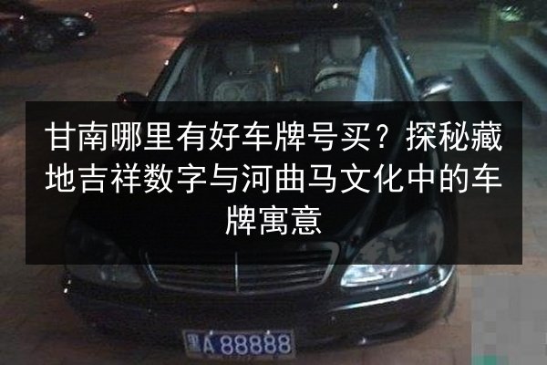 甘南哪里有好车牌号买？探秘藏地吉祥数字与河曲马文化中的车牌寓意 第2张