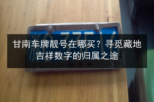甘南车牌靓号在哪买？寻觅藏地吉祥数字的归属之途