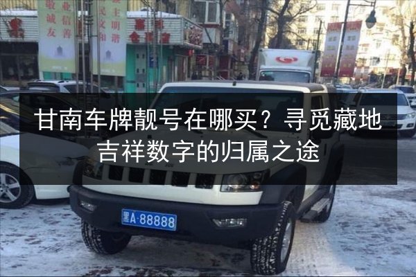 甘南车牌靓号在哪买？寻觅藏地吉祥数字的归属之途 第2张
