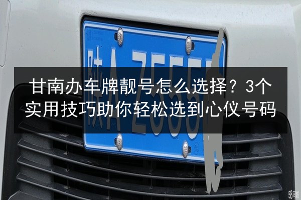 甘南办车牌靓号怎么选择?3个实用技巧助你轻松选到心仪号码 第2张 甘南办车牌靓号怎么选择?3个实用技巧助你轻松选到心仪号码 第2张