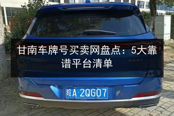 甘南车牌号买卖网盘点：5大靠谱平台清单 第2张