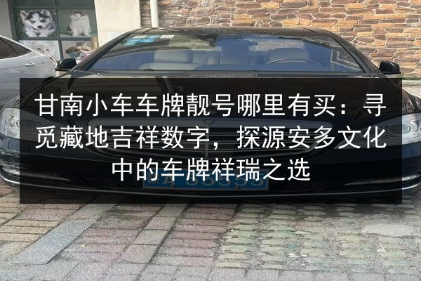 甘南小车车牌靓号哪里有买：寻觅藏地吉祥数字，探源安多文化中的车牌祥瑞之选