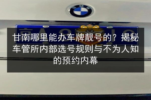甘南哪里能办车牌靓号的?揭秘车管所内部选号规则与不为人知的预约内幕 第2张 甘南哪里能办车牌靓号的?揭秘车管所内部选号规则与不为人知的预约内幕 第2张