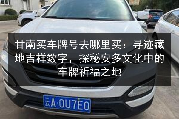 甘南买车牌号去哪里买:寻迹藏地吉祥数字,探秘安多文化中的车牌祈福之地 第2张 甘南买车牌号去哪里买:寻迹藏地吉祥数字,探秘安多文化中的车牌祈福之地 第2张