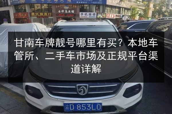 甘南车牌靓号哪里有买?本地车管所、二手车市场及正规平台渠道详解 第3张 甘南车牌靓号哪里有买?本地车管所、二手车市场及正规平台渠道详解 第3张