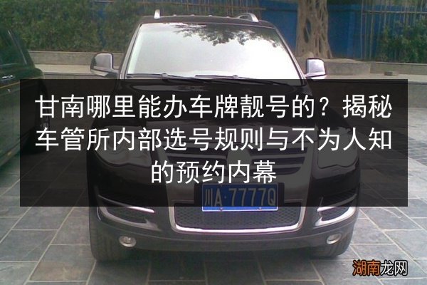 甘南哪里能办车牌靓号的?揭秘车管所内部选号规则与不为人知的预约内幕 第3张 甘南哪里能办车牌靓号的?揭秘车管所内部选号规则与不为人知的预约内幕 第3张