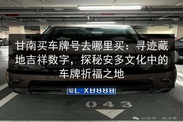 甘南买车牌号去哪里买:寻迹藏地吉祥数字,探秘安多文化中的车牌祈福之地 第3张 甘南买车牌号去哪里买:寻迹藏地吉祥数字,探秘安多文化中的车牌祈福之地 第3张