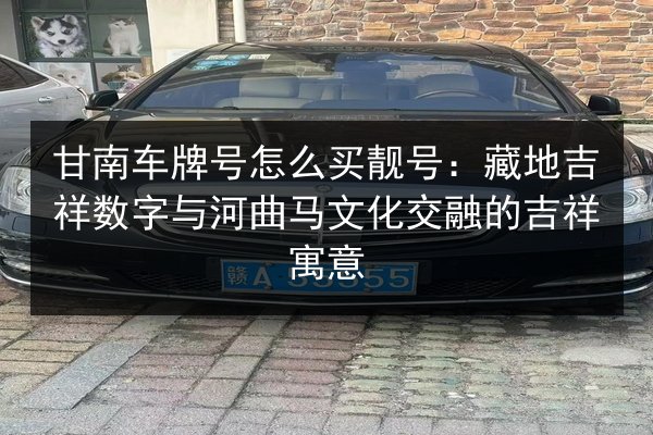 甘南车牌号怎么买靓号:藏地吉祥数字与河曲马文化交融的吉祥寓意 第2张 甘南车牌号怎么买靓号:藏地吉祥数字与河曲马文化交融的吉祥寓意 第2张