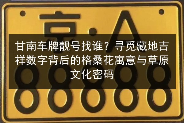 甘南车牌靓号找谁？寻觅藏地吉祥数字背后的格桑花寓意与草原文化密码