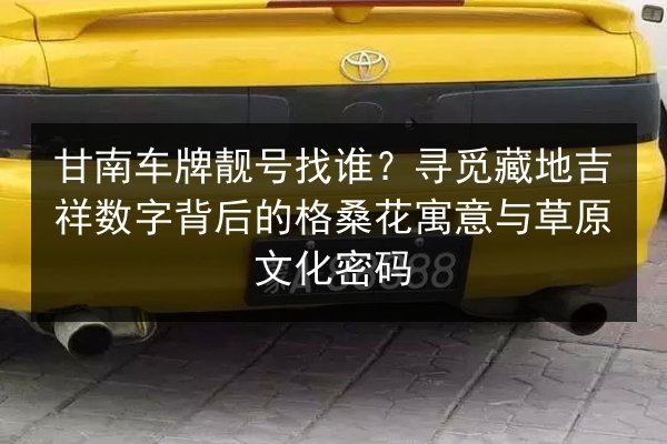 甘南车牌靓号找谁?寻觅藏地吉祥数字背后的格桑花寓意与草原文化密码 第2张 甘南车牌靓号找谁?寻觅藏地吉祥数字背后的格桑花寓意与草原文化密码 第2张
