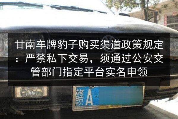 甘南车牌豹子购买渠道政策规定:严禁私下交易,须通过公安交管部门指定平台实名申领 第2张 甘南车牌豹子购买渠道政策规定:严禁私下交易,须通过公安交管部门指定平台实名申领 第2张