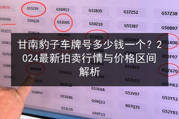 甘南豹子车牌号多少钱一个?2024最新拍卖行情与价格区间解析 第3张 甘南豹子车牌号多少钱一个?2024最新拍卖行情与价格区间解析 第3张