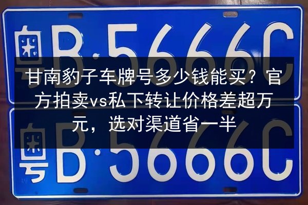 甘南豹子车牌号多少钱能买?官方拍卖vs私下转让价格差超万元,选对渠道省一半 第3张 甘南豹子车牌号多少钱能买?官方拍卖vs私下转让价格差超万元,选对渠道省一半 第3张