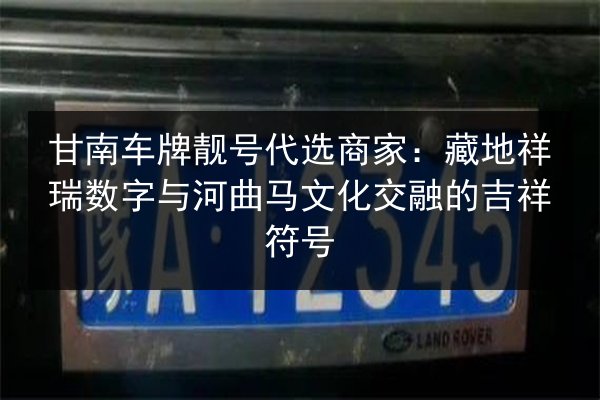 甘南车牌靓号代选商家：藏地祥瑞数字与河曲马文化交融的吉祥符号 第2张