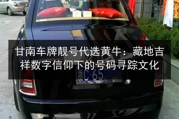 甘南车牌靓号代选黄牛:藏地吉祥数字信仰下的号码寻踪文化 第2张 甘南车牌靓号代选黄牛:藏地吉祥数字信仰下的号码寻踪文化 第2张