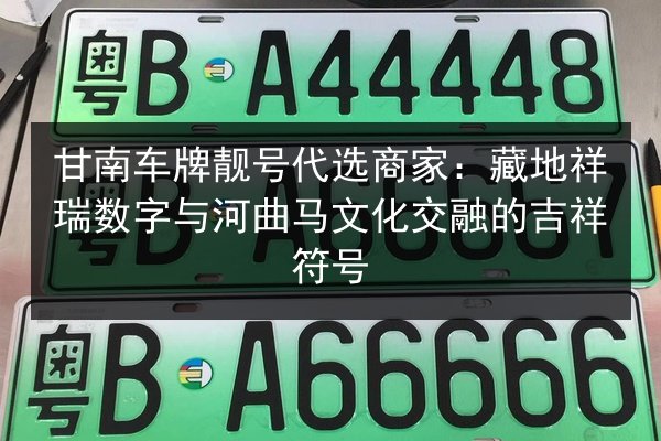 甘南车牌靓号代选商家：藏地祥瑞数字与河曲马文化交融的吉祥符号 第3张