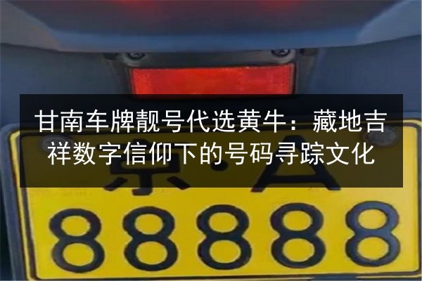 甘南车牌靓号代选黄牛:藏地吉祥数字信仰下的号码寻踪文化 第3张 甘南车牌靓号代选黄牛:藏地吉祥数字信仰下的号码寻踪文化 第3张