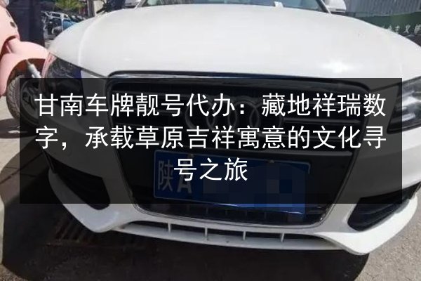 甘南车牌靓号代办:藏地祥瑞数字,承载草原吉祥寓意的文化寻号之旅 第3张 甘南车牌靓号代办:藏地祥瑞数字,承载草原吉祥寓意的文化寻号之旅 第3张