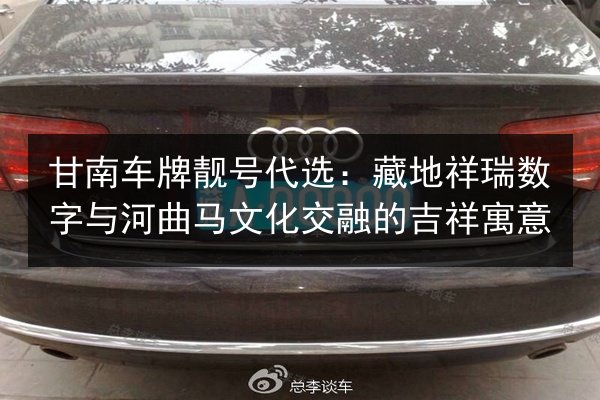 甘南车牌靓号代选:藏地祥瑞数字与河曲马文化交融的吉祥寓意 第2张 甘南车牌靓号代选:藏地祥瑞数字与河曲马文化交融的吉祥寓意 第2张