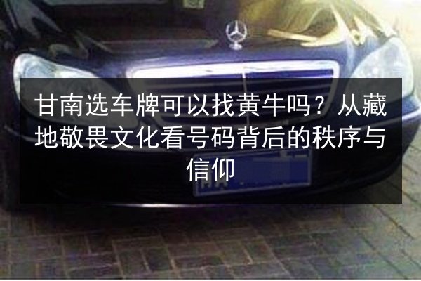 甘南选车牌可以找黄牛吗？从藏地敬畏文化看号码背后的秩序与信仰 第2张
