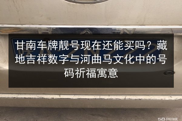 甘南车牌靓号现在还能买吗?藏地吉祥数字与河曲马文化中的号码祈福寓意 第2张 甘南车牌靓号现在还能买吗?藏地吉祥数字与河曲马文化中的号码祈福寓意 第2张