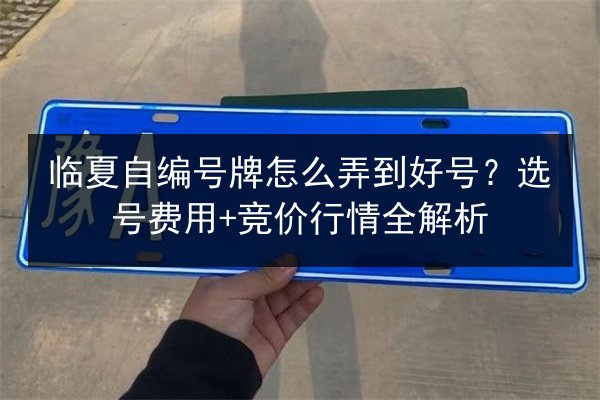 临夏自编号牌怎么弄到好号？选号费用+竞价行情全解析 第2张