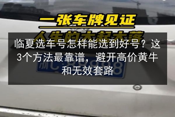 临夏选车号怎样能选到好号？这3个方法最靠谱，避开高价黄牛和无效套路 第2张