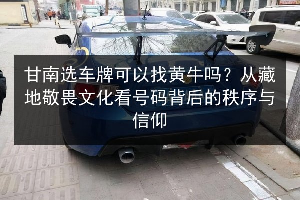 甘南选车牌可以找黄牛吗？从藏地敬畏文化看号码背后的秩序与信仰 第3张