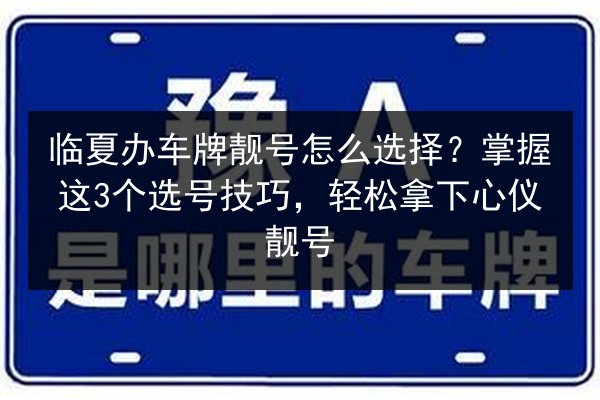 临夏办车牌靓号怎么选择？掌握这3个选号技巧，轻松拿下心仪靓号 第2张
